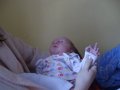 IMGP3432.JPG